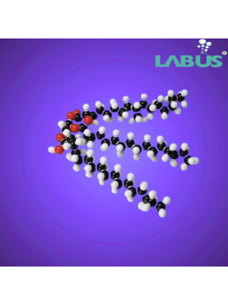 PL MOLECULAR MODEL SET − FAT (GLYCERYL TRISTEARATE) (C₅₇H₁₁₀O₆)